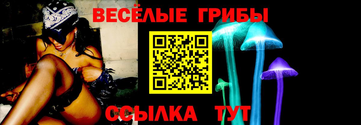 Великий Устюг  Галлюциногенные грибы Psilocybe  Вход с VPN 